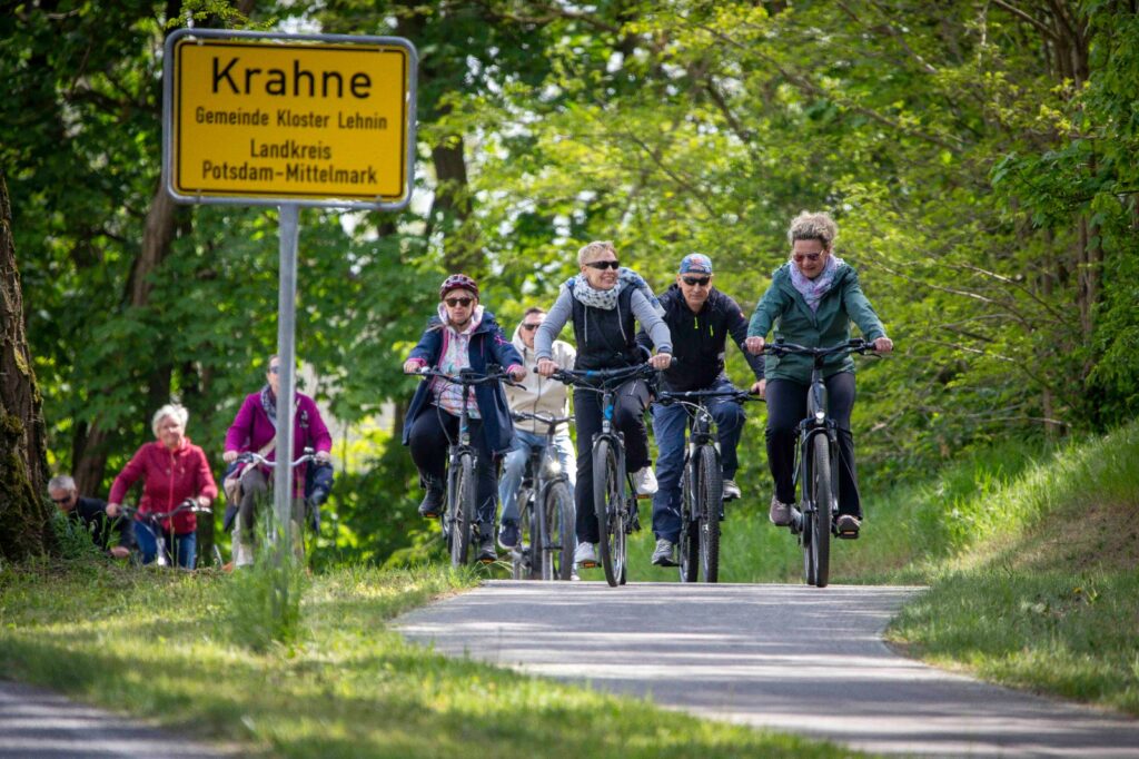 Radfahrer auf einer Straße durch den Wald
